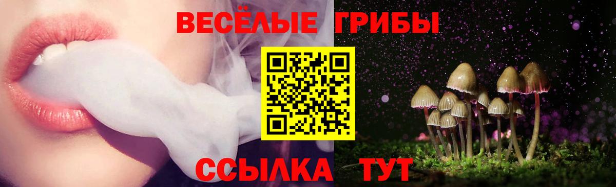 Галлюциногенные грибы Magic Shrooms Сегежа